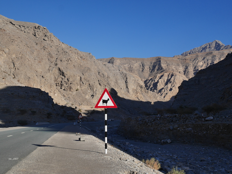 Ras Al Khaimah aneb kempujeme v horách